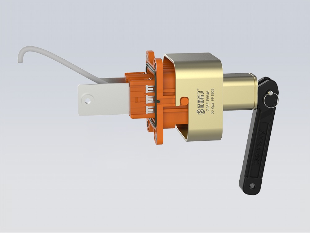 G25F系列格雷?？焖俳宇^